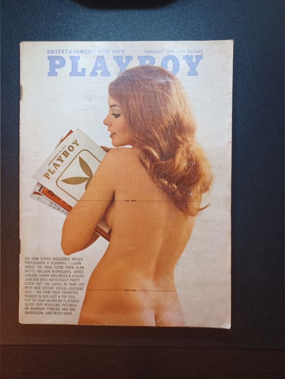 Vintage Playboy Featuring Linda Forsythe